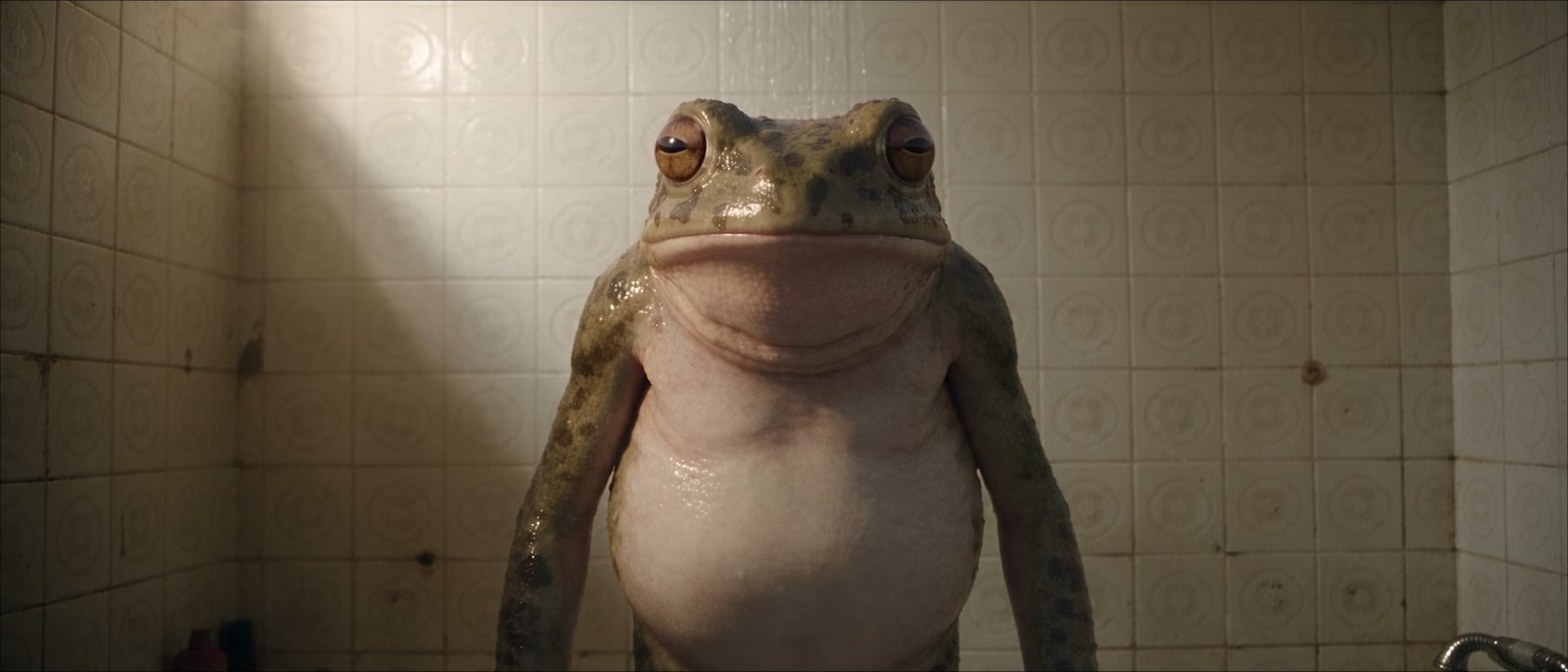 Full Time — the frog standing against bathroom tile